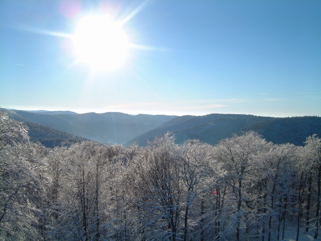 LesVosgesenhiver